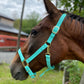 iCavalos Horse Halter Turquoise