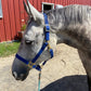 iCavalos Horse Halter Royal Blue