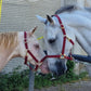 iCavalos Horse Halters