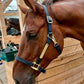 Personalized Halter