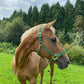 iCavalos Horse Halter Green