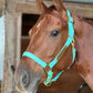 iCavalos Horse Halters