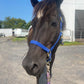 iCavalos Horse Halter Royal Blue