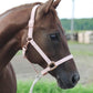 iCavalos Horse Halter Candy Pink