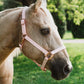 iCavalos Horse Halter Candy Pink