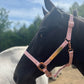 iCavalos Horse Halters