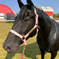 Personalized Halter