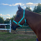 iCavalos Horse Halter Turquoise
