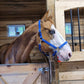 iCavalos Horse Halter Royal Blue