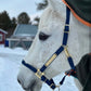 iCavalos Horse Halters
