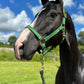 iCavalos Horse Halter Green