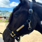 iCavalos Horse Halters