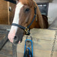iCavalos Horse Halter Black & Gold