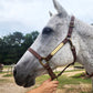 Personalized Halter