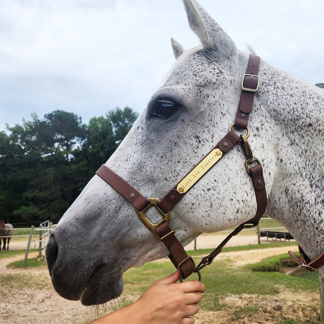 Personalized Halter