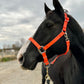 iCavalos Horse Halters