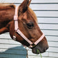 iCavalos Horse Halter Candy Pink