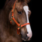 iCavalos Horse Halter Light Brown