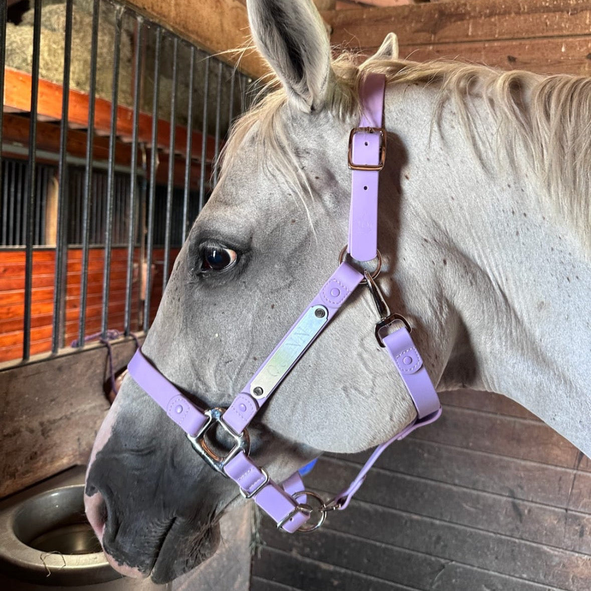 iCavalos Horse Halters
