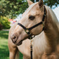 iCavalos Horse Halter Black & Gold