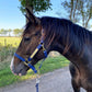 iCavalos Horse Halters
