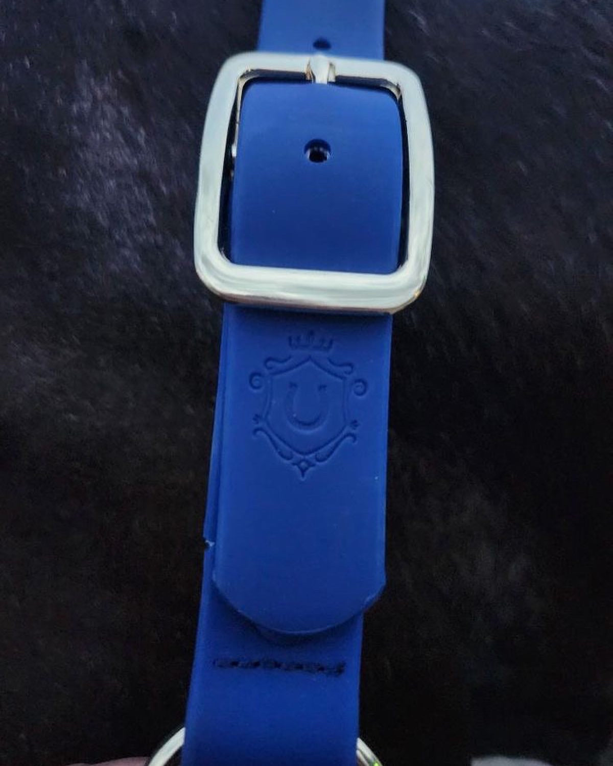 iCavalos Horse Halter Royal Blue