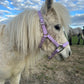iCavalos Horse Halters