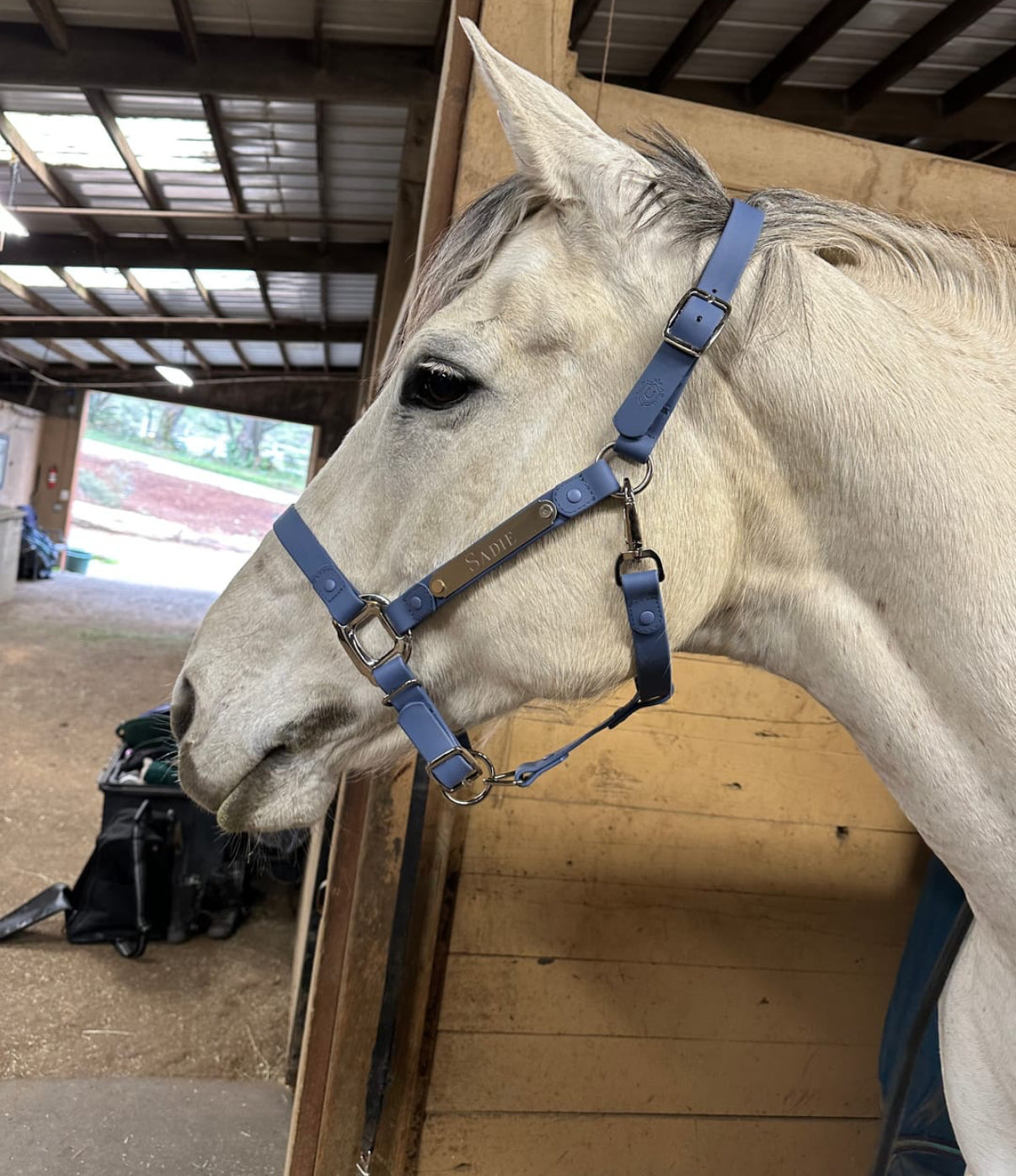 iCavalos Horse Halters