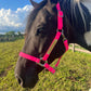 iCavalos Horse Halters