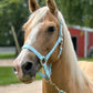 iCavalos Horse Halters