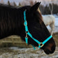 iCavalos Horse Halters